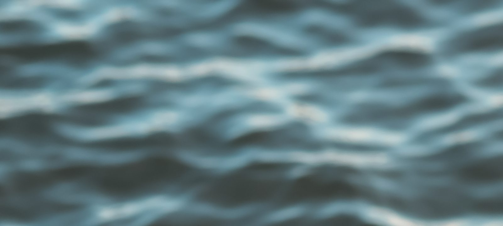 {{ t.alt30 }}