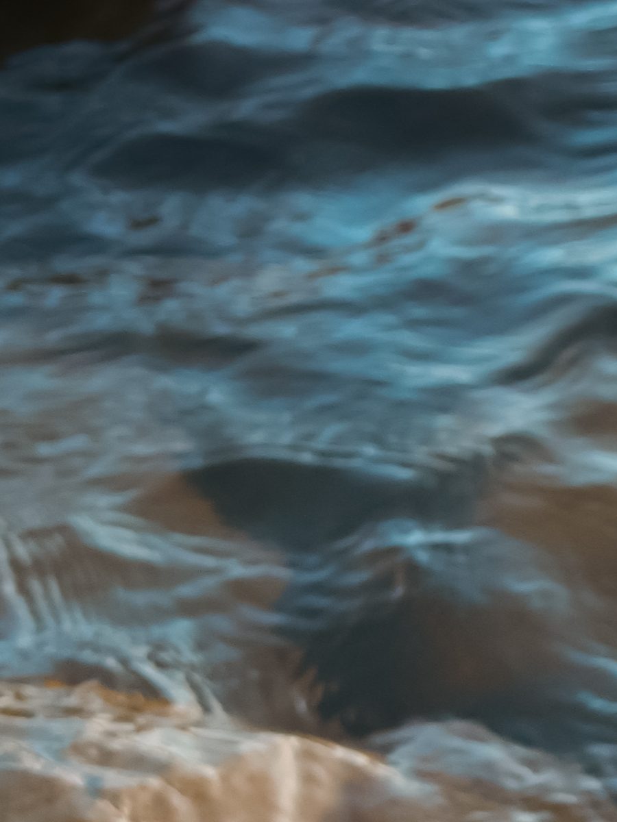 {{ t.alt33 }}